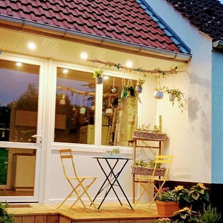 Le Cottage Du Marais. Houlle Exteriör bild